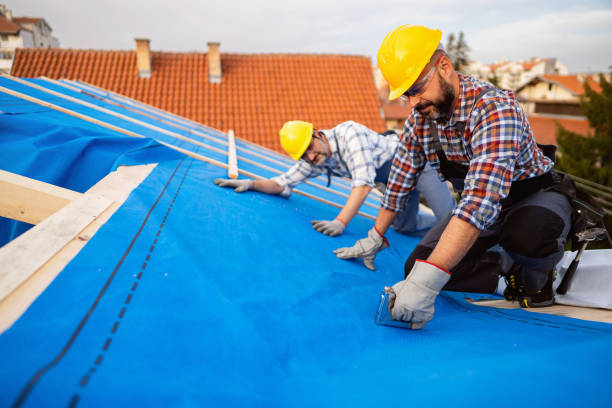 Best Roof Repair Services  in Fall Creek, WI
