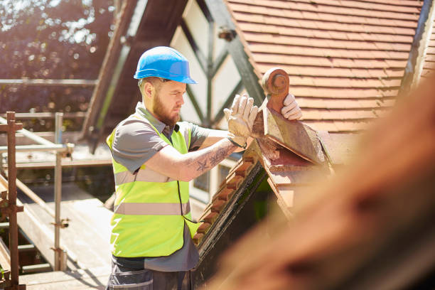 Best Gutter Installation and Roofing  in Fall Creek, WI